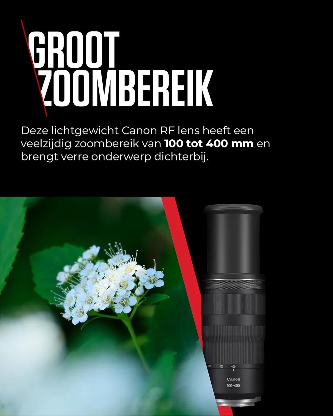 Canon RF 100-400mm F5.6-8 IS USM — imagen 3